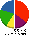 村田電工 貸借対照表 2012年9月期