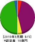 湘南アーキテクチュア 貸借対照表 2010年9月期