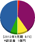 藤生建設 貸借対照表 2012年9月期