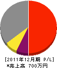 斉藤塗装店 損益計算書 2011年12月期