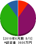 川崎電機 貸借対照表 2010年6月期