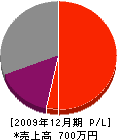 永電社 損益計算書 2009年12月期