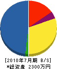 大島工機 貸借対照表 2010年7月期