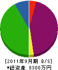 中村興産 貸借対照表 2011年9月期