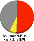 湘興２１ 損益計算書 2009年2月期