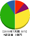 相武電設 貸借対照表 2010年7月期