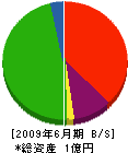 岩田設備 貸借対照表 2009年6月期