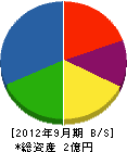 東田電機工業 貸借対照表 2012年9月期