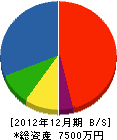 丸正木村組 貸借対照表 2012年12月期