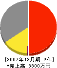 世紀総合設備 損益計算書 2007年12月期 世紀総合設備 損益計算書 2007年12月期