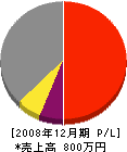 藤井塗装工業所 損益計算書 2008年12月期