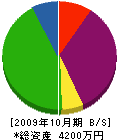 竹林造園 貸借対照表 2009年10月期