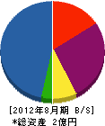 ワシヤマ土建 貸借対照表 2012年8月期