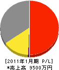 塩野電気工事 損益計算書 2011年1月期