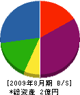 松藤 貸借対照表 2009年8月期