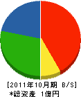 国井塗装 貸借対照表 2011年10月期
