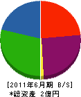 松雲建設興業 貸借対照表 2011年6月期