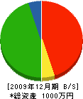 伊藤土建 貸借対照表 2009年12月期