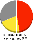 平田電気 損益計算書 2010年9月期