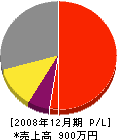 小川＊緑園 損益計算書 2008年12月期