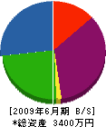 長野企画開発 貸借対照表 2009年6月期
