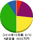 共立電気工事 貸借対照表 2010年10月期 共立電気工事 貸借対照表 2010年10月期