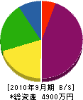 野崎設備 貸借対照表 2010年9月期