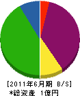 オカムラ 貸借対照表 2011年6月期