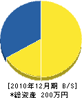 寺田開発 貸借対照表 2010年12月期