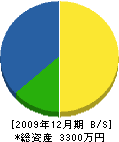 安田土木 貸借対照表 2009年12月期