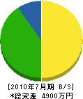 八光建設 貸借対照表 2010年7月期 八光建設 貸借対照表 2010年7月期