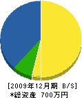 大島造園 貸借対照表 2009年12月期
