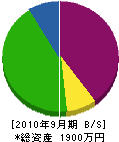 和田産業 貸借対照表 2010年9月期
