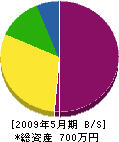米田電気 貸借対照表 2009年5月期