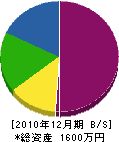 斎藤重機建設 貸借対照表 2010年12月期