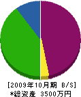 宮武工業 貸借対照表 2009年10月期