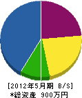 飯塚塗研 貸借対照表 2012年5月期