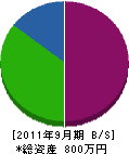 中野電機工務店 貸借対照表 2011年9月期