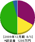 長山電気商会 貸借対照表 2009年12月期