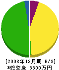 谷田商会 貸借対照表 2008年12月期