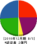 山本自動車工業 貸借対照表 2010年12月期