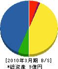 ＫＤＤＩ沖縄 貸借対照表 2010年3月期