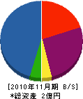 浅野製作所 貸借対照表 2010年11月期
