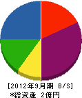 太田電気工事 貸借対照表 2012年9月期