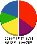 片山造園 貸借対照表 2010年7月期
