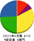 須南電設 貸借対照表 2012年8月期
