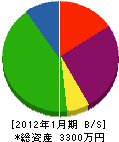 江花電気商会 貸借対照表 2012年1月期
