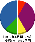 只松商会 貸借対照表 2012年4月期