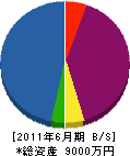 松本通信特機 貸借対照表 2011年6月期