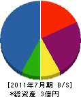 池田工務所 貸借対照表 2011年7月期